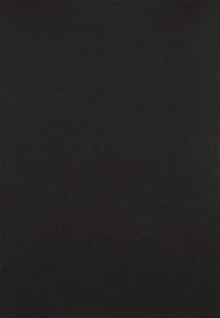 Anna Field 2 PACK - Langarmshirt - Black/mottled Grey -Anna Field 0dc508e6fbe54431b34a612a85aedc7a